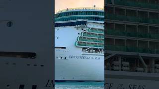 Independence of the Seas 🛳️ #like #share #comment #subscribe #cruiseship #cruise #vacation #shorts