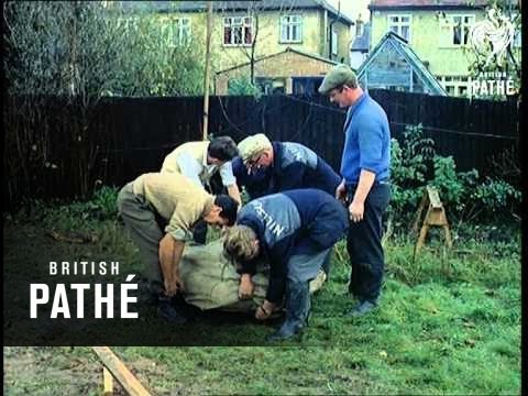 Out Takes / Cuts From Cp 309 - Air-House Aka Aitc House And Indoor Bowls (1960)