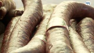 Szent László hét összefoglaló