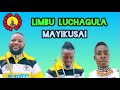 LIMBU LUCHAGULA FT MAYIKUSAI JOYISI MSAMBAZAJI BHUDOYA STUDIO Official Audio 2025