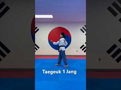 Taegeuk 1 Jang by world champion Master Kim @mytaekwondo #richmond #virginia