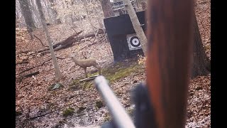 Aiming a Traditional Bow: Gap shooting, fixed crawl and other aiming tips