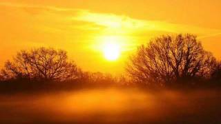 love alone by caedmon's call