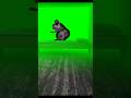 Granny Dance Comedy Funny Music Grannydance Desihunterninjagaming Grandfather Sastenashe