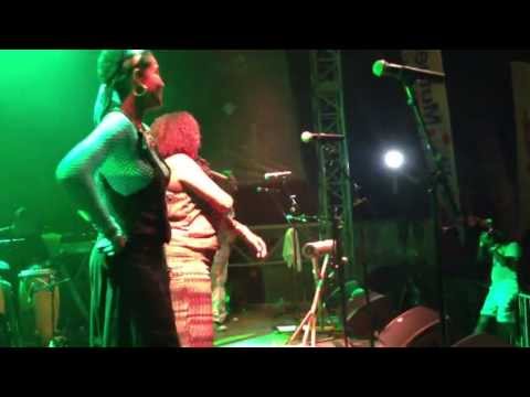 kwaxicolor au festival Martinique