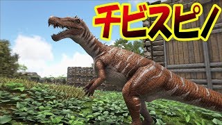 ちびスピノサウルス 海への足がかり肉食恐竜バリオニクスをテイム 恐竜サバイバル再び 17 Ark Survival Evolved تنزيل الموسيقى Mp3 مجانا