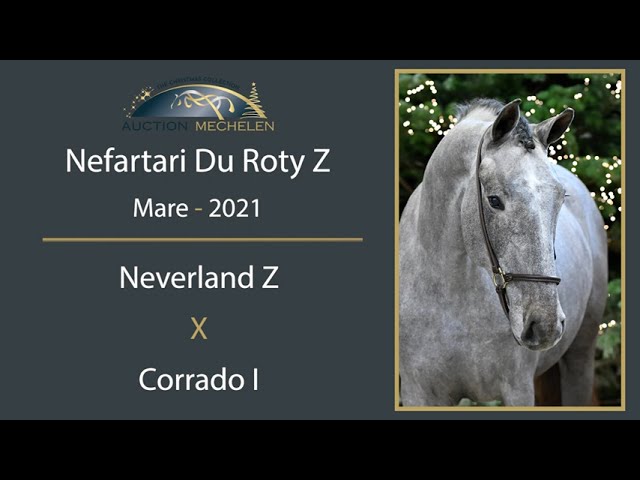 Nefertari Du Roty Z