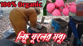 চলছে লিচু ফুলের মধু সংগ্রহ।খাঁটি মধুর জন্য যোগাযোগ করতে পারেন আমাদের সাথে।