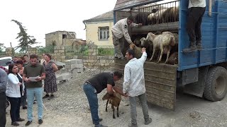 «Բառնաբաս» հիմնադրամը աջակցություն է տրամադրում Արցախի սահմանային բնակավայրերին