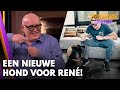 René heeft reusachtige nieuwe hond: 'Ik sta tegenwoordig staand te eten!' | VANDAAG INSIDE