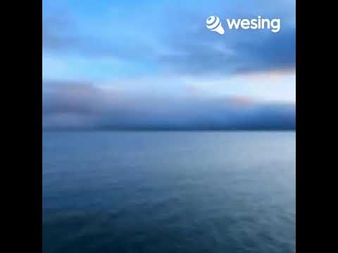 Tsob ntoo lub pas dej...