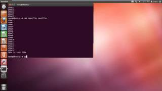 How to Use Unix Cat Command