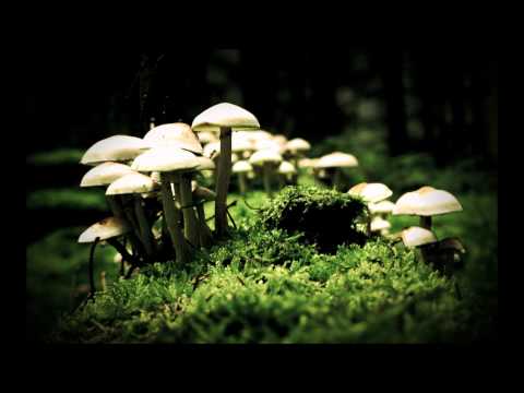 Siren (Original Mix) - Novaline Feat. Anthya