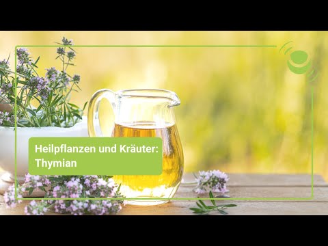Thymian – Alles, was du über seine Wirkung wissen solltest.