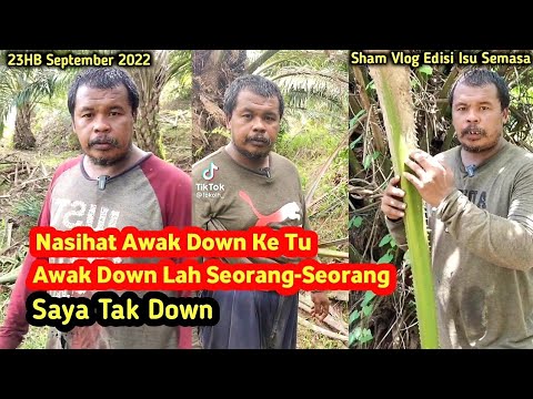Nasihat Awak Down Ke Tu, Awak Down Lah Seorang-Seorang, Saya Tak Down, Buat Ramai Terhibur.