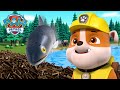Les chiots aident les poissons à franchir le barrage de castor! PAW Patrol dessins animés