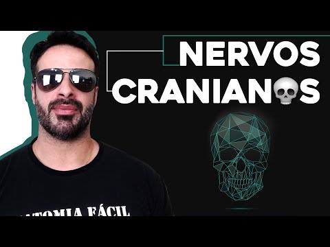 O QUE SÃO NERVOS CRANIANOS?