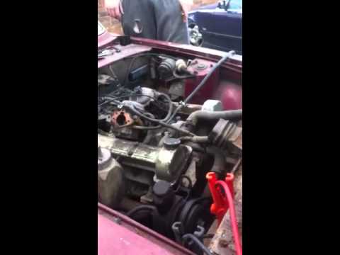 Thumbnail for IMG 4666