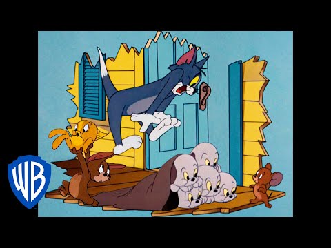 Capa de Tom & Jerry em Português | Brasil | Vamos Salvar o Dia! | WB Kids