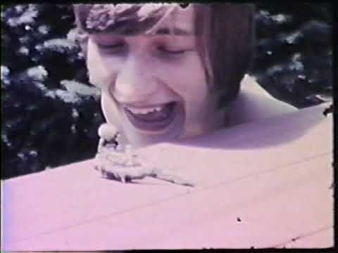 The Frogs - What the Trouble Was (Rare Late 1970's Home Footage)
