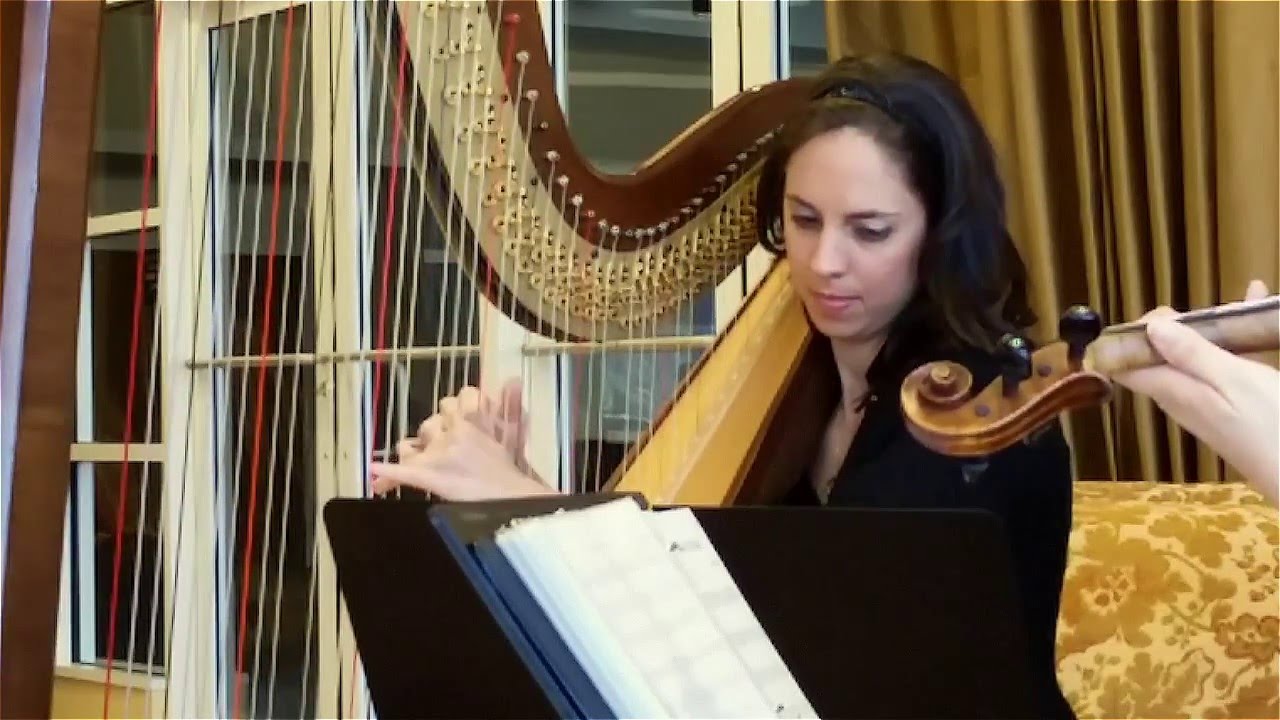 Promotional video thumbnail 2 for Rebecca Cosas