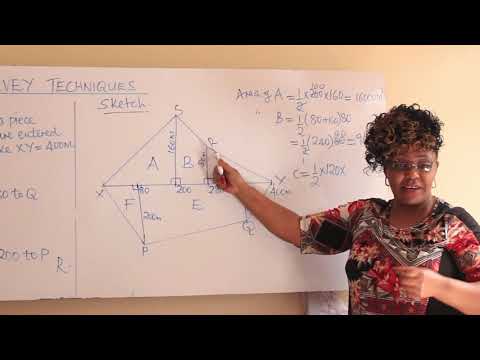 FORM ONE MATHEMATICS(survey techniques)