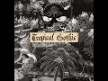 Mike Cooper - Ko Lanta (from Tropical Gothic, Discrepant 2018)