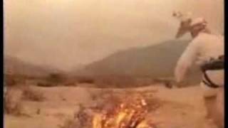 Lobo domesticado-Valentin Elizalde&quot;El Gallo De Oro&quot;