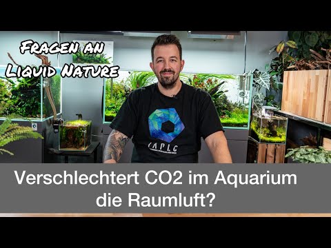 Verschlechtert CO2 im Aquarium die Raumluft? Flüssiges CO2? | Fragen an Liquid Nature