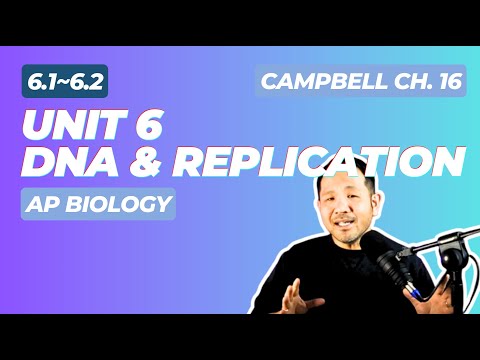 AP BIOLOGY: Campbell Chapter 16 - DNA Replication (and structure) REVIEW