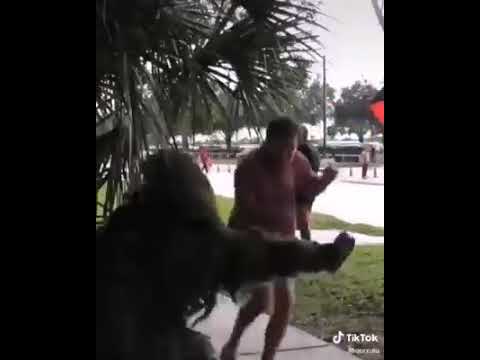 ENG SARA KİLİP PİLRİKOLLAR PRANKLAR HAZİLLAR