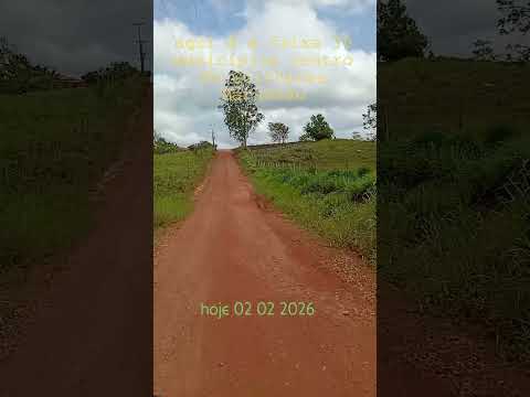 centro do Guilherme Maranhão #humor #memes