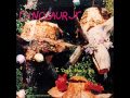 Dinosaur Jr - What Else Is New (live)
