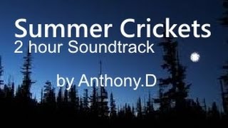 NATURE SOUNDS: SUMMER CRICKETS - Sleep Aid Ambient Soundtrack