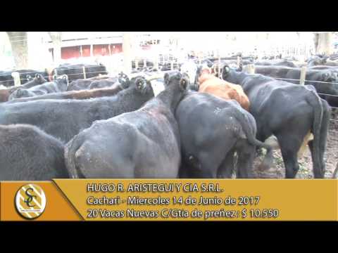 14-06-17 Venta de Vientres - Hugo R. Aristegui y Cia S.R.L. - Cacharì