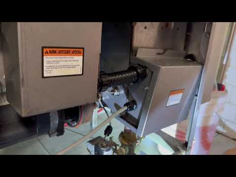 Cockroaches Hiding Under the Dishwasher in Asbury Park, NJ