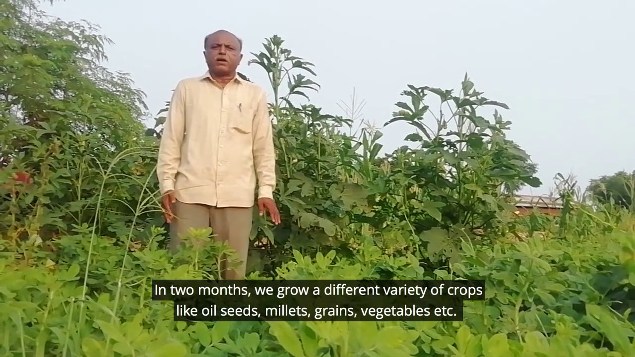 Meet Bharat Bhai Jambucha, an organic farmer from India 🇮🇳