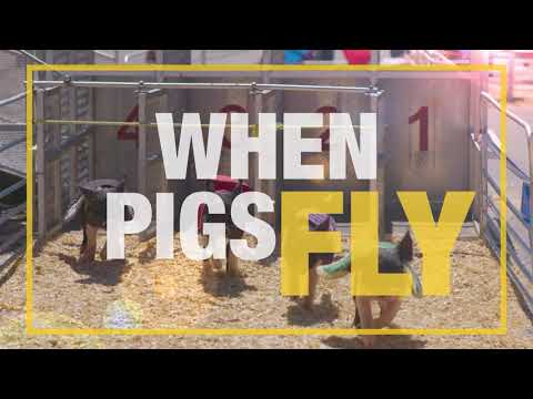 When Pigs Fly - East Texas State Fair 2018 Commercial