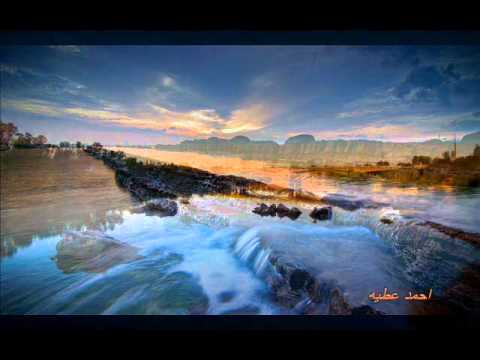 محمود المصرى اغنية مش عويدك sh3by masry