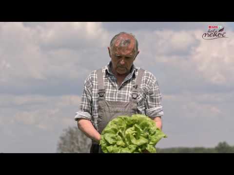 SPAR KOT NEKOČ - Kmetija Podlesek