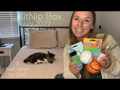 Kit Nip Box Unboxing | July 2022 | OMG Cat Wine?!