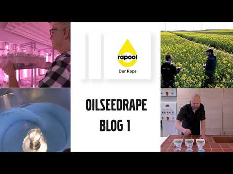 RAPOOL Oilseedrape Blog no. 1