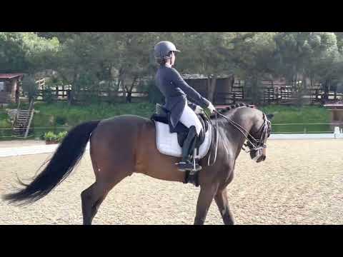 CDI - young Riders - Team - Nicole e Funji