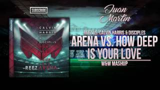 Arena vs. How Deep Is Your Love (W&W Mashup)