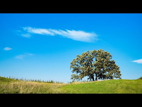 HUN SARIH LALRAM | LALBIAKTHUAMA | MIZO GOSPEL