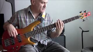 Fat Lip: Bass Cover