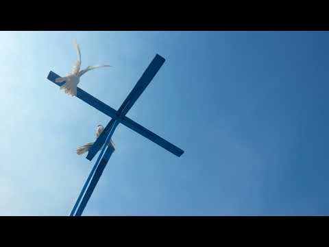 Вечером 16 апреля у Сергея подкидываем его голубей