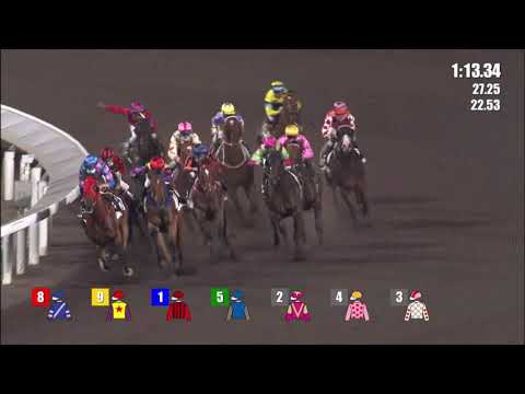 31/3/2021 (554) Glorious Artist - Z Purton