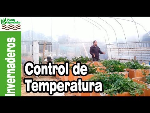 , title : 'Experiencias de CONTROL de 🔥 temperatura y 💨 humedad en INVERNADERO para invierno y verano'