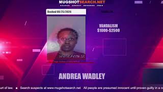 Mugshot TV - Live Arrest Booking Video Stream